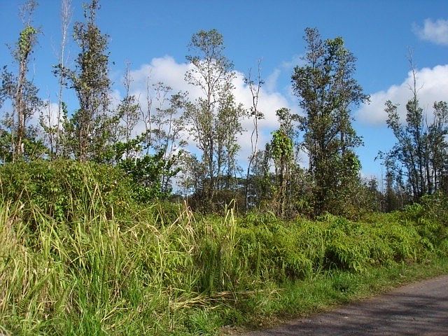 2nd image of 37th Ave Lot 8215
