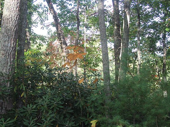 2nd image of 0 Swift Hollow Ln