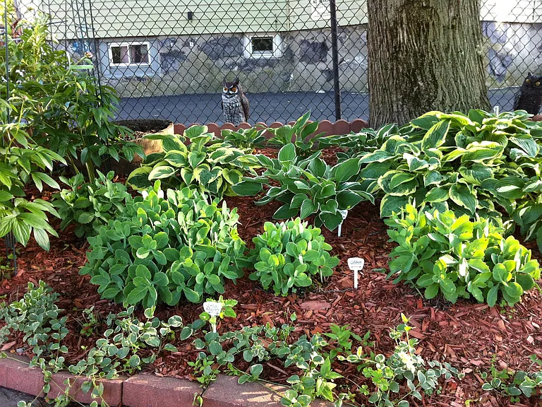 8 Wilson St #2 — Photo 17