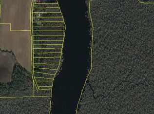 8767 Henrietta Blfs, Conway, SC 29527