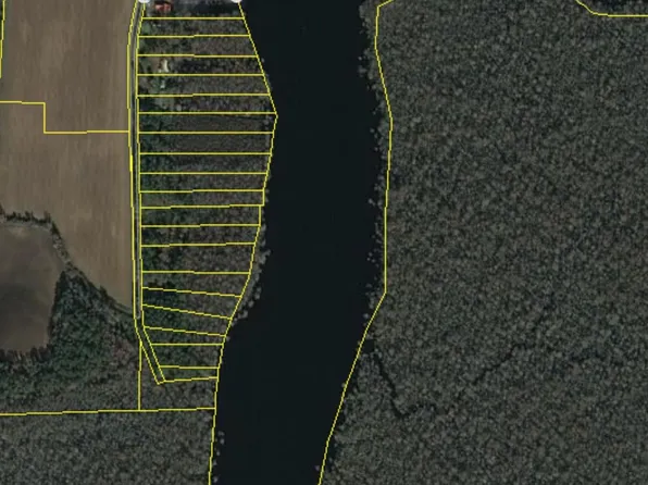 8767 Henrietta Bluff Rd., Conway, SC 29527