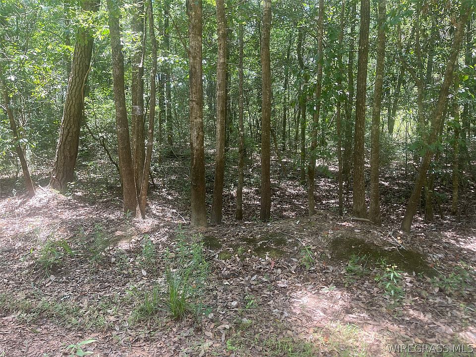 1st image of 0 E Forest Dr Lot 49-58