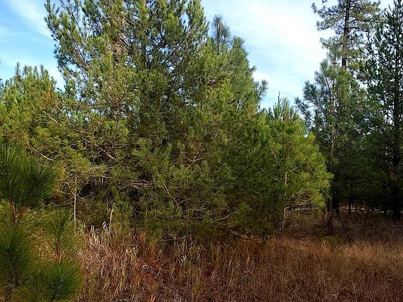 3rd image of 29510 N Konzal Ln