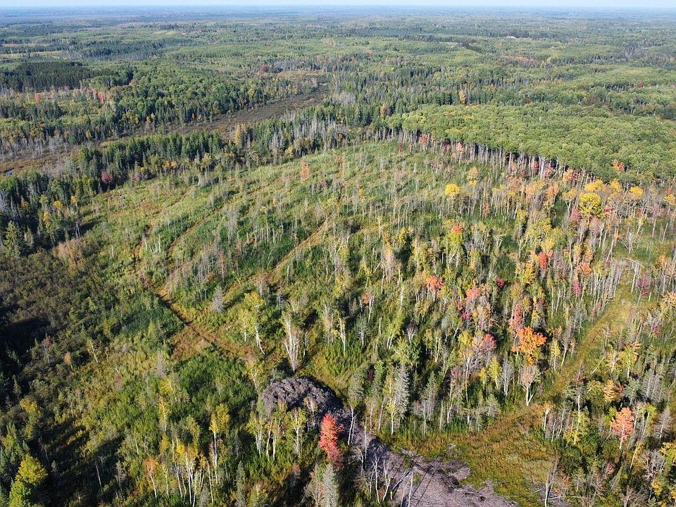 Township Road 5743, Alborn, MN 55702 MLS 6110791 Zillow