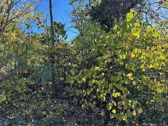 4th image of NE 39th Street 516 Lot 514-515-518
