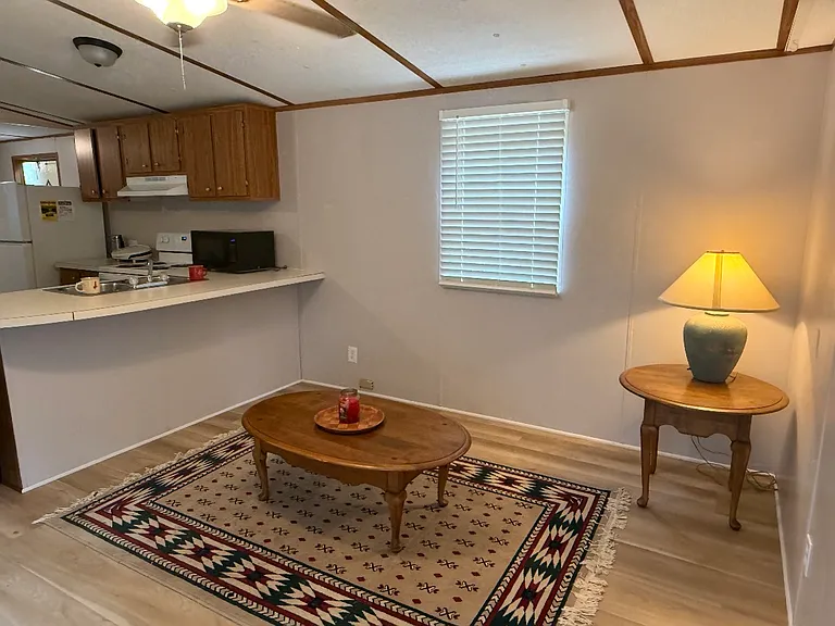 Cougar Dr — Photo 5