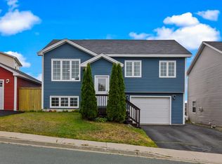 47 Spruce Grove Ave, St. John's, NL A1S0A5