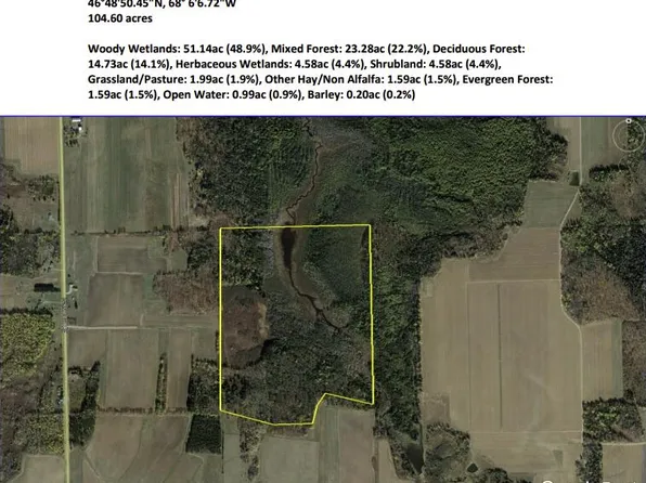 M9L22 Caribou Lake Road, Washburn, ME 04786