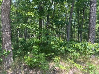 W Cleveland Dr, Bitely, MI, 49309