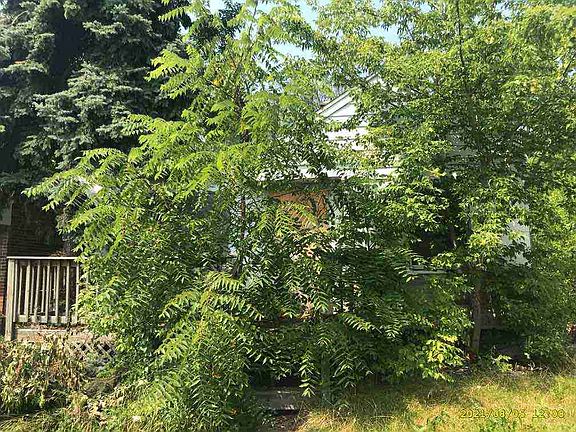 8675 Evergreen