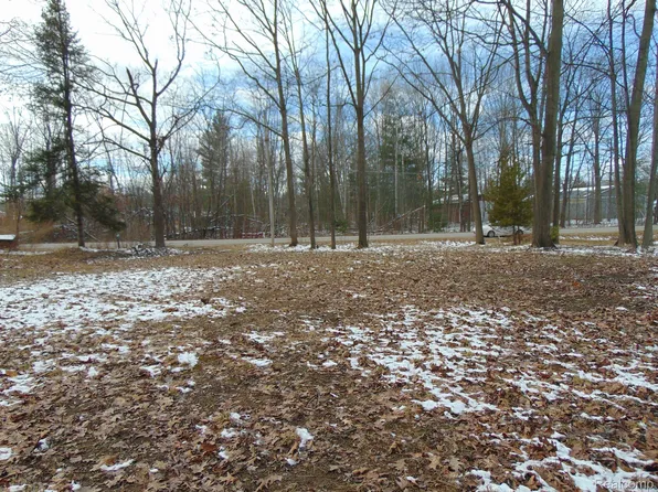 3883 Birchwood St, Beaverton, MI 48612