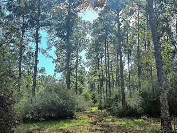 5th image of 700 Private Road 8160