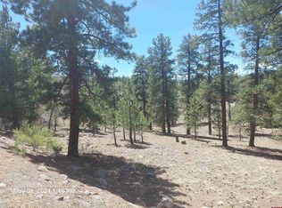 761 Escondida Dr, South Fork, CO 81154
