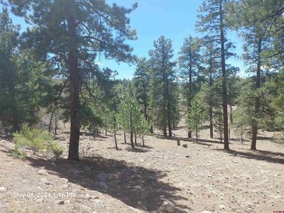761 Escondida Drive, South Fork, CO, 81154
