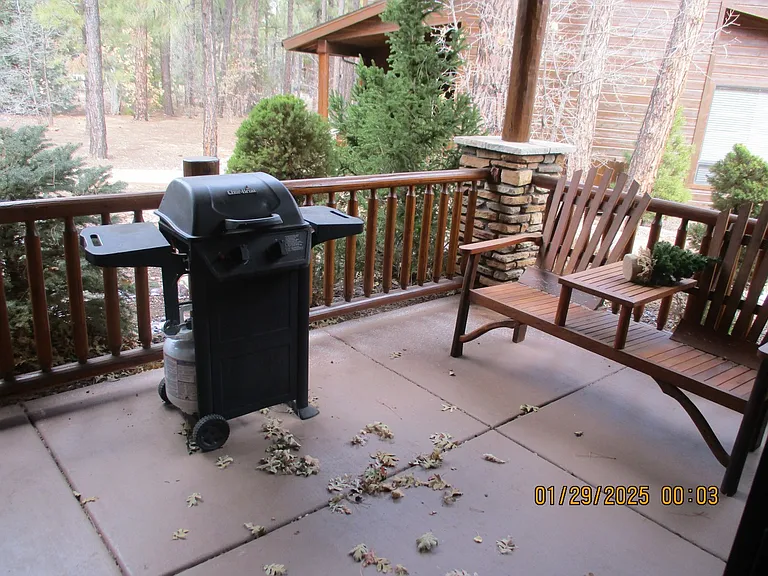 950 S Spirea Ln — Photo 9