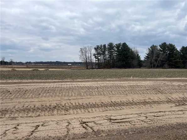 Lot #3 14th Avenue, Elk Mound, WI 54739