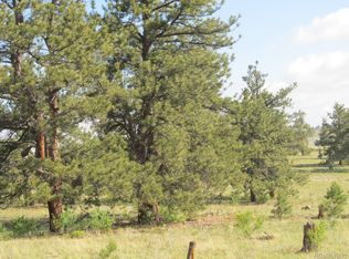 5127 Arikara Trl #5127, Hartsel, CO 80449