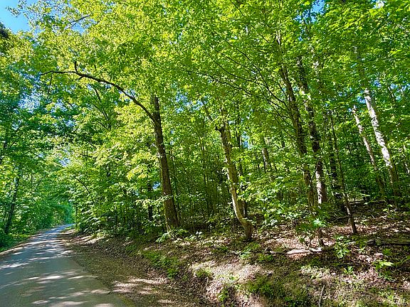 4th image of 0 Ewing Ridge Rd