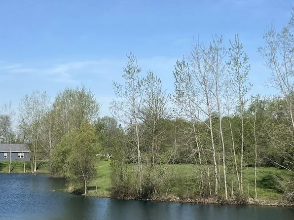 Turtle Lake Rd, North Branch, MI 48461