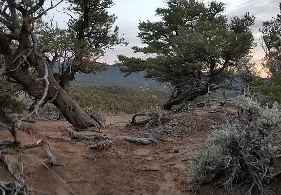 4th image of 0 Sangre De Cristo Rnch #2072