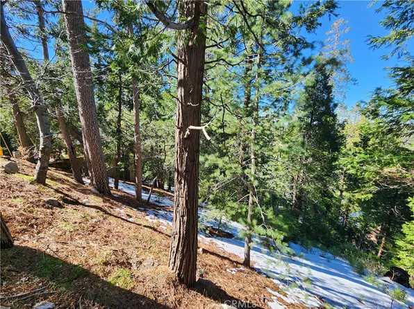 26236 Boulder Ln Lot 3, Twin Peaks, CA 92391