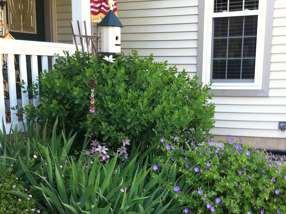 1st image of 5031 Country Pl