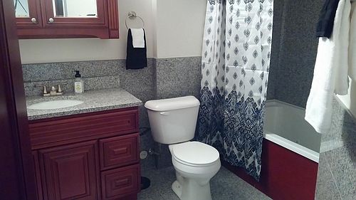 2nd image of 1014 Locust St Unit 1213