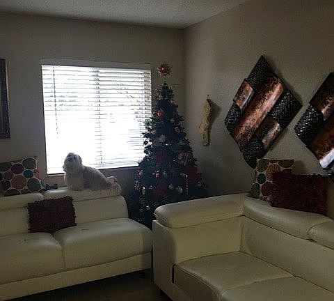 5th image of 570 NW 82nd Pl APT 296