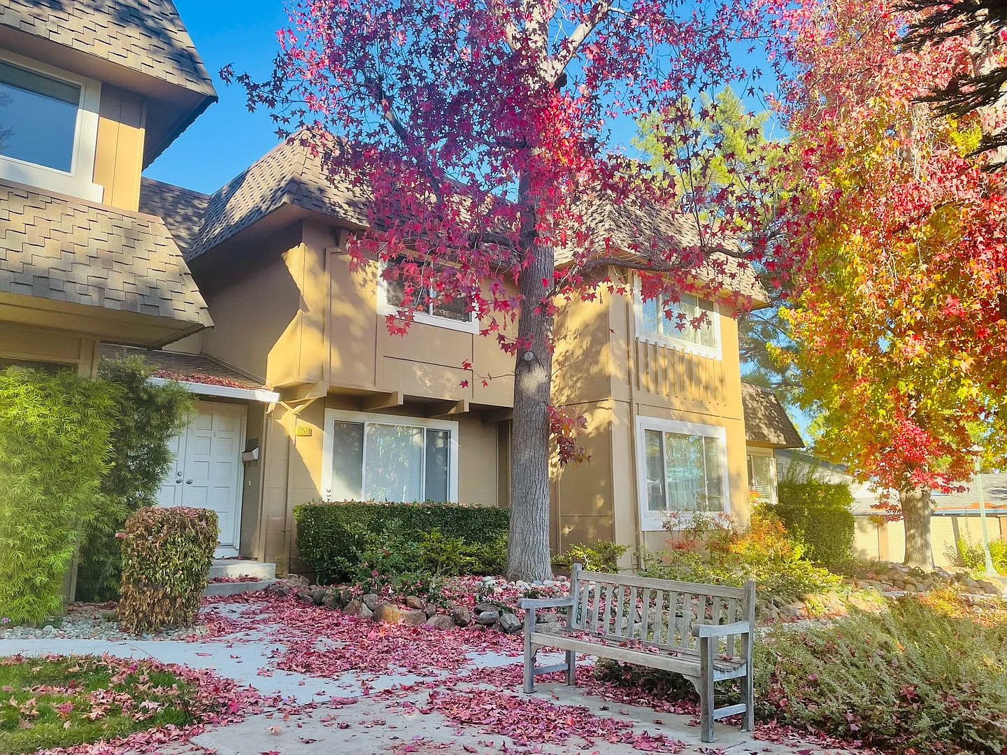 22578 Lazy Oak Ct photo 1