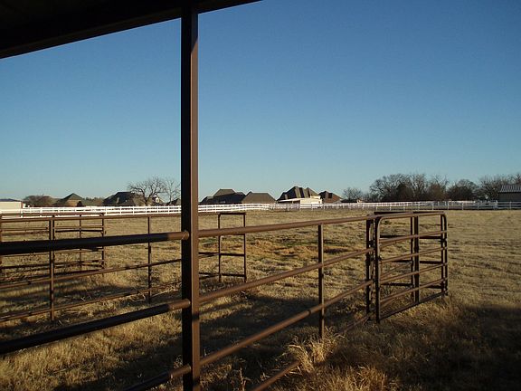Bring Your Horses and Cattle