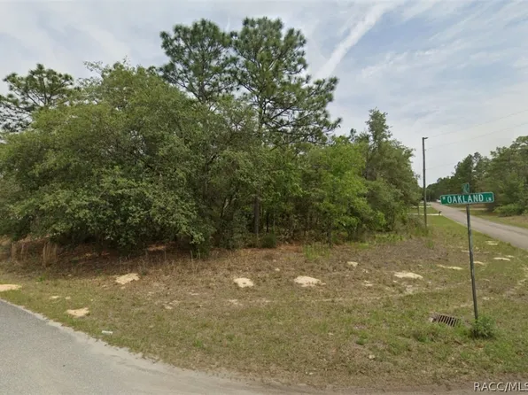 7209 N Galt Point, Citrus Springs, FL 34434
