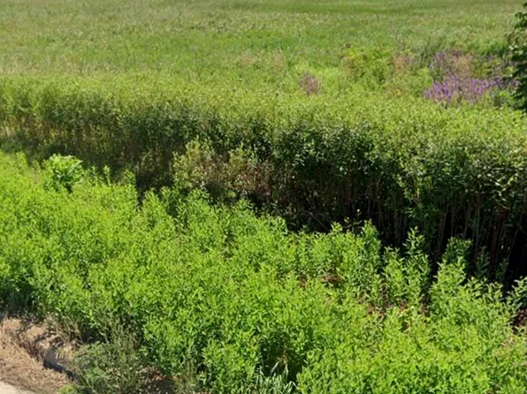 738 Crest Ave, Schaumburg, IL 60193