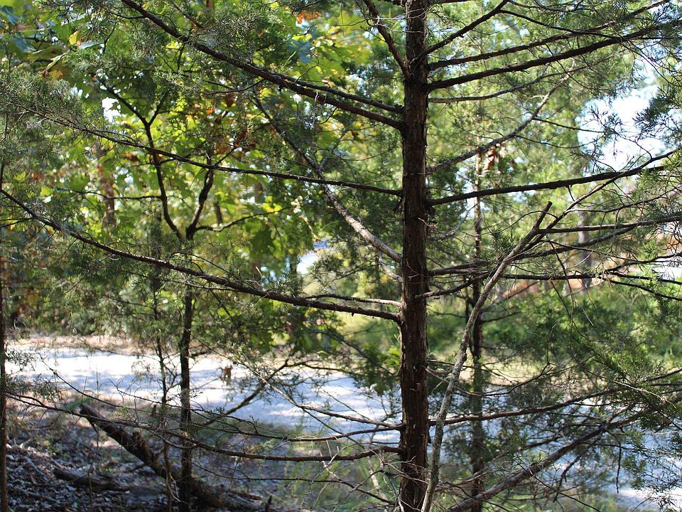 156-00026-000 Blue Lake Dr, Protem, MO 65733 | MLS #129913 | Zillow