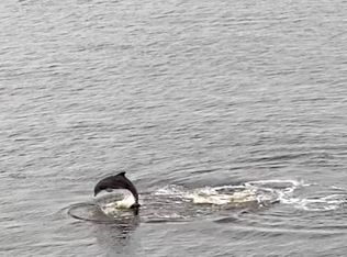 1561 Le Baron Ave #1561, Jacksonville, FL 32207