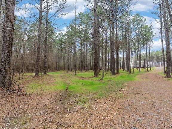 5th image of 18 Stormi Way