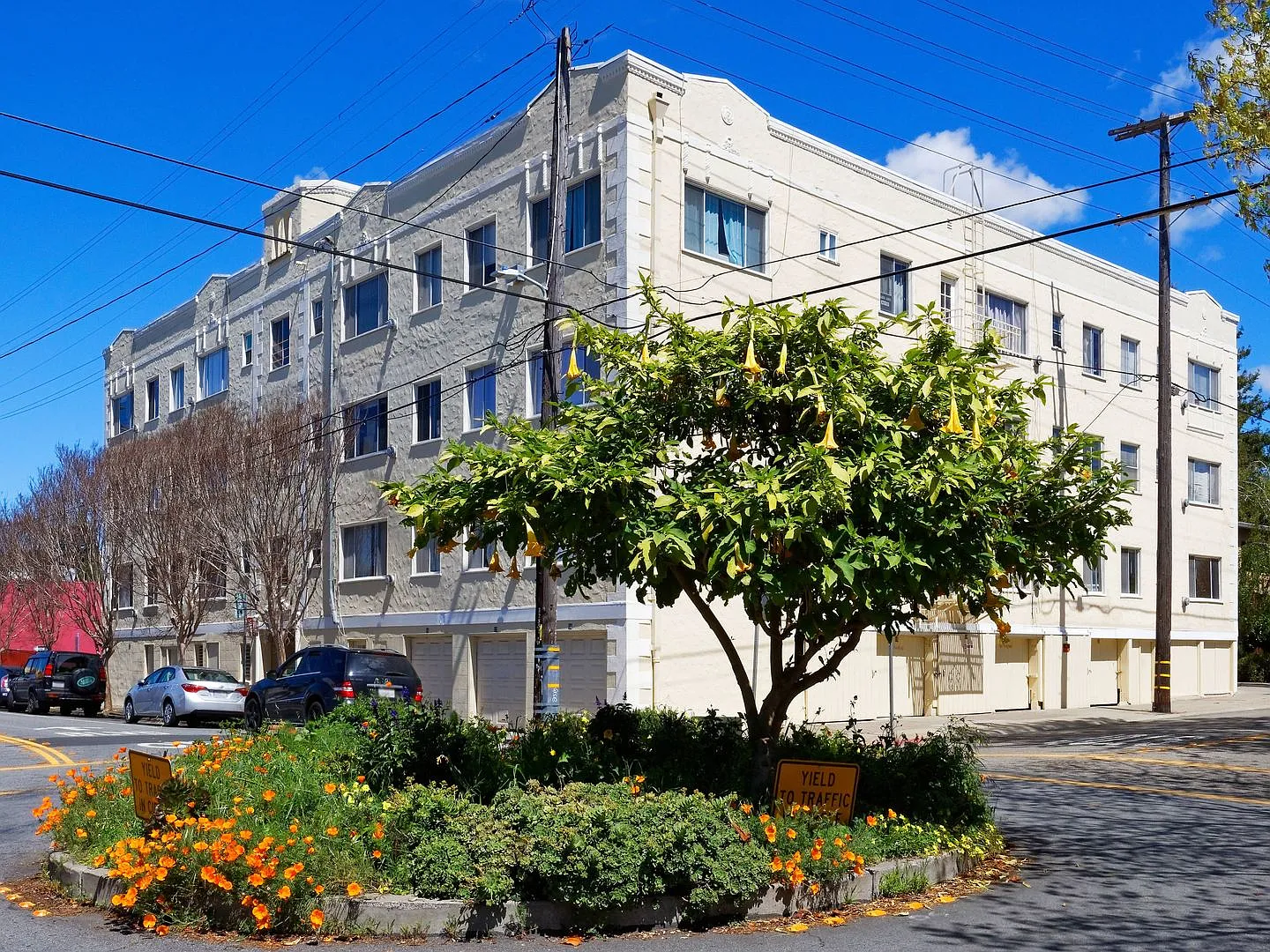 2091 California Street — Photo 2
