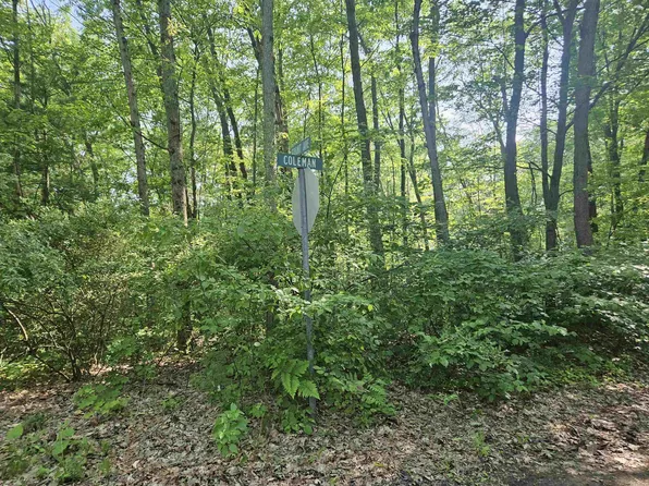 524 Coleman St, Harrison, MI 48625