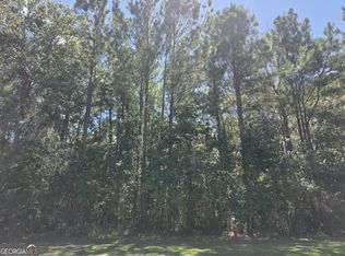 143 Canopy Ln, Waverly, GA 31565