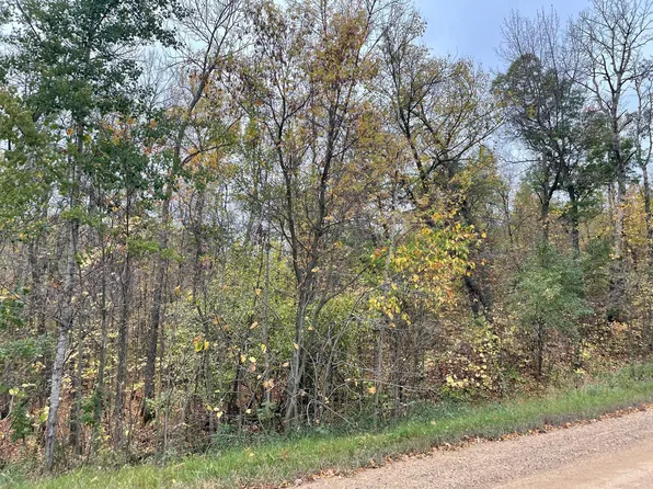 X 211th Ave, Sauk Centre, MN 56378