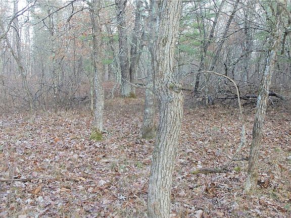 4th image of Lot 2 Gilmore Drive