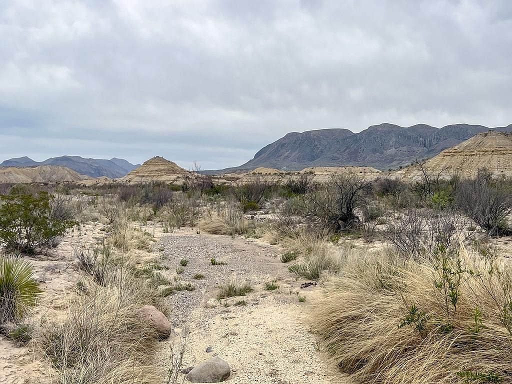 Township Road F726, Terlingua, TX 79852 MLS 141053 Zillow