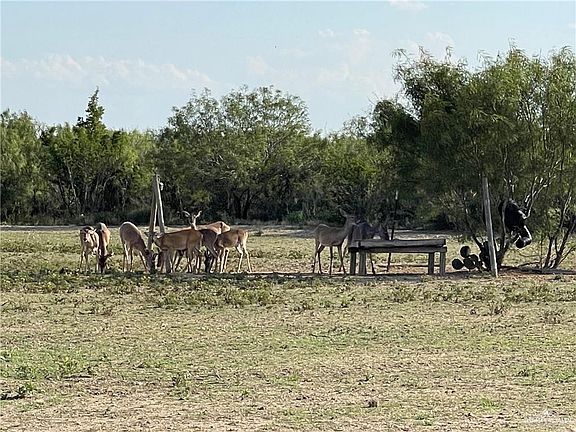 4th image of 0 Loma Blanca Rd