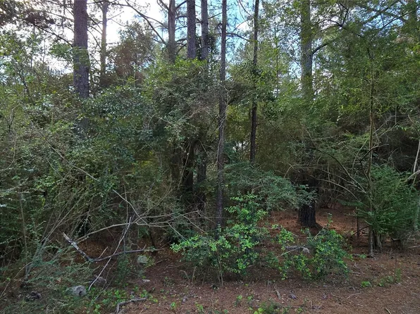 0 Fisher Dr, Tomball, TX 77377