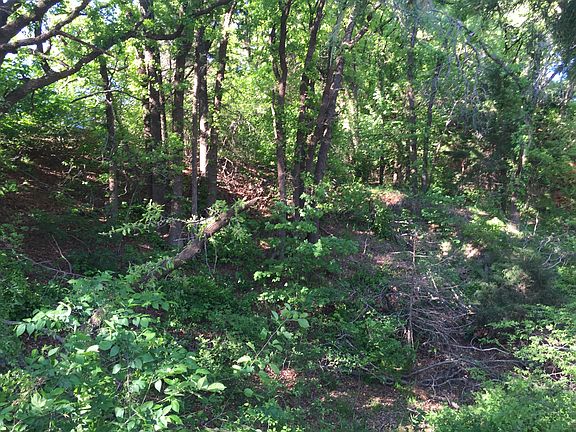 4th image of 22081 County Road 1170