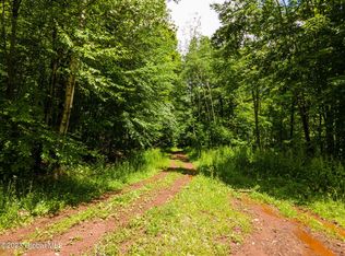 L15 McMurdy Hill Rd, Hobart, NY 13788