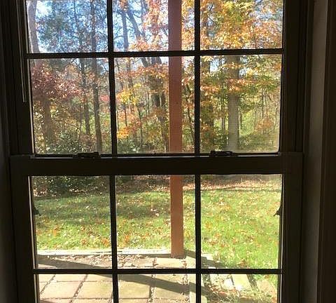 Window