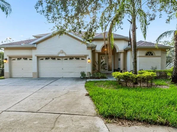 2425 Blue Stone Ct, Valrico, FL 33594