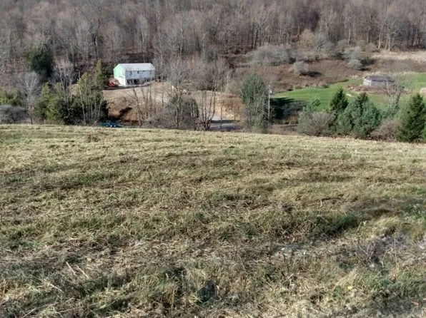 L7 Albany Rd #7, West Winfield, NY 13491