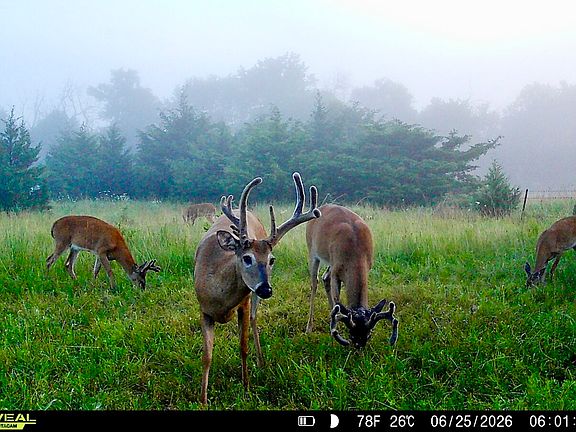 2nd image of 0 Florida Rd