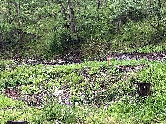 3rd image of 0 Sidling Hill Crk